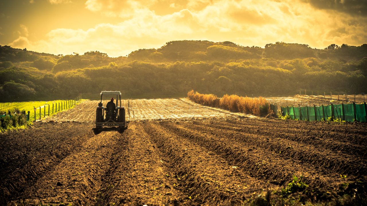 Segmento agropecuário foi responsável por 70% da exportação paranaense em 2023